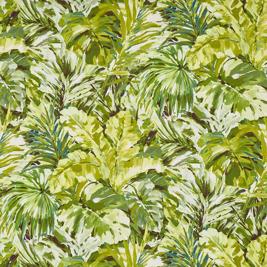 MOLLIES New Zealand / Warwick Fabric Palmyra