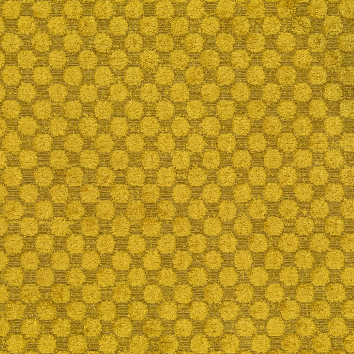 MOLLIES New Zealand / Warwick Fabric Brissaud (Indent)