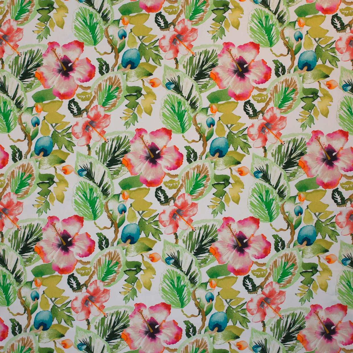 MOLLIES New Zealand / Warwick Fabric Tropicana