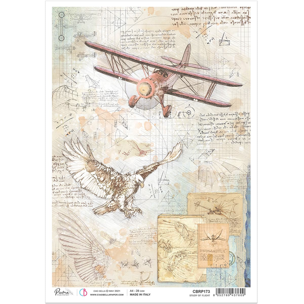 MOLLIES New Zealand / CIAO BELLA Rice Paper Study of Flight A4