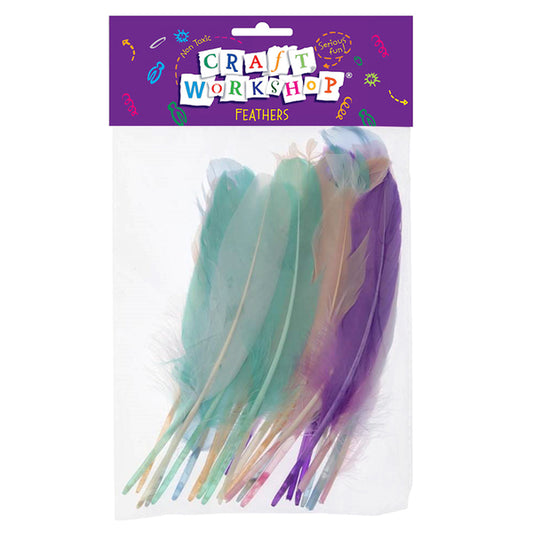 MOLLIES New Zealand / CRAFT WORKSHOP Feathers Pastel