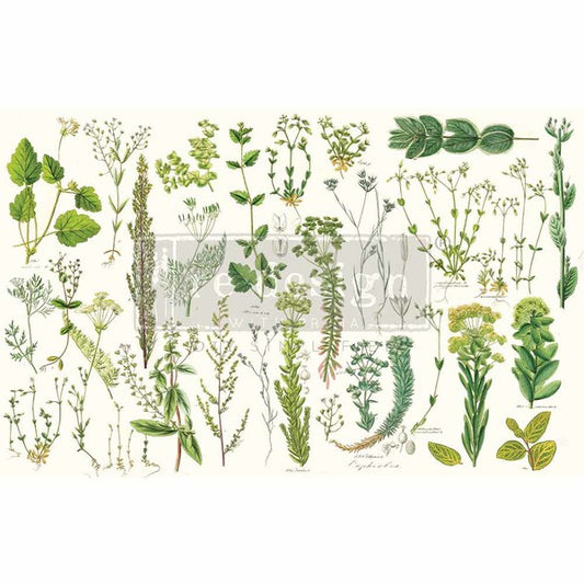 MOLLIES New Zealand / REDESIGN Rice Paper Greenery 48 x 76cm